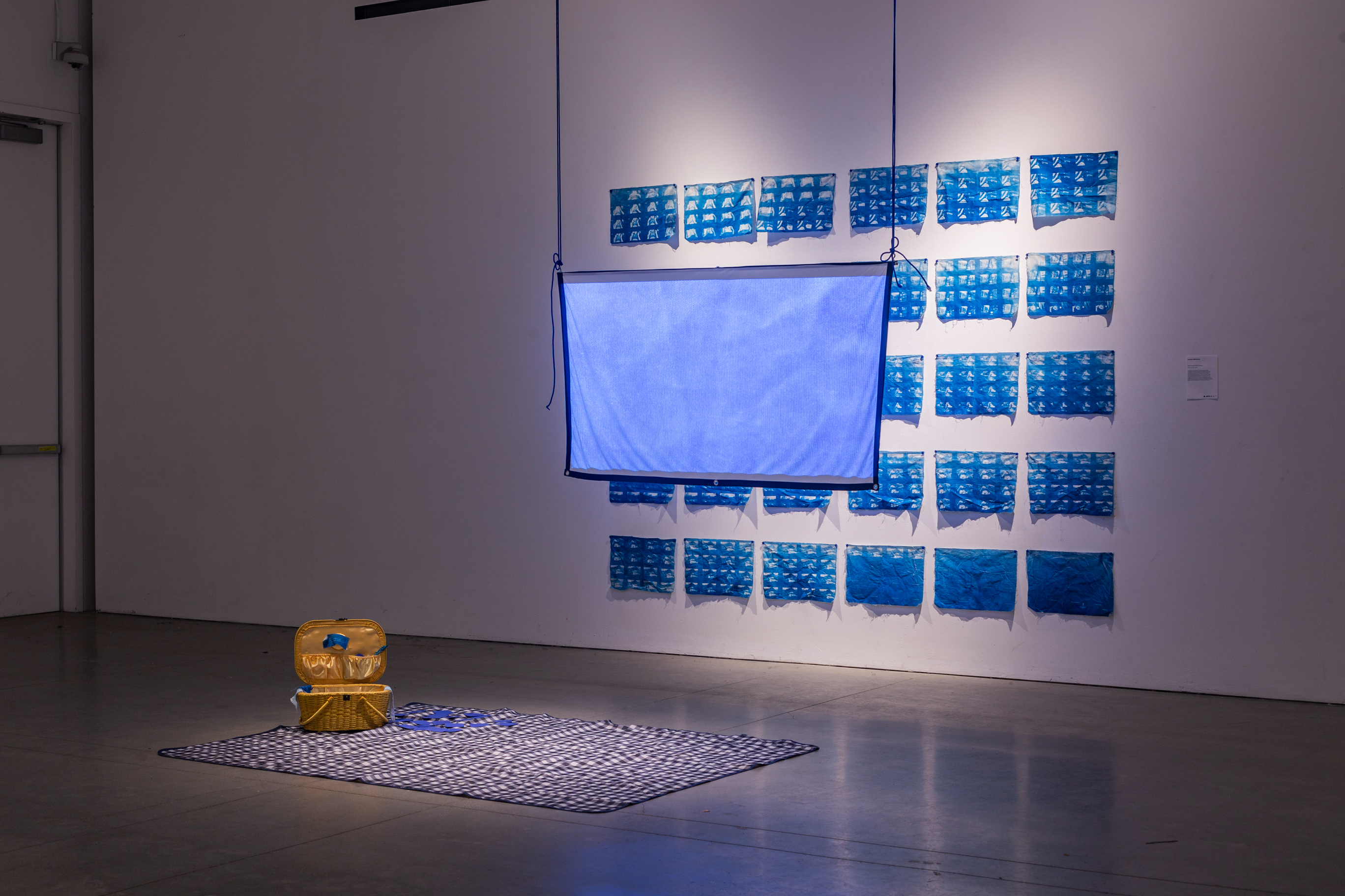 A rug sits on the floor, in the center a projector screen with visuals on it hangs from the air. Behind the screen is a white wall, with printed cyanotypes.